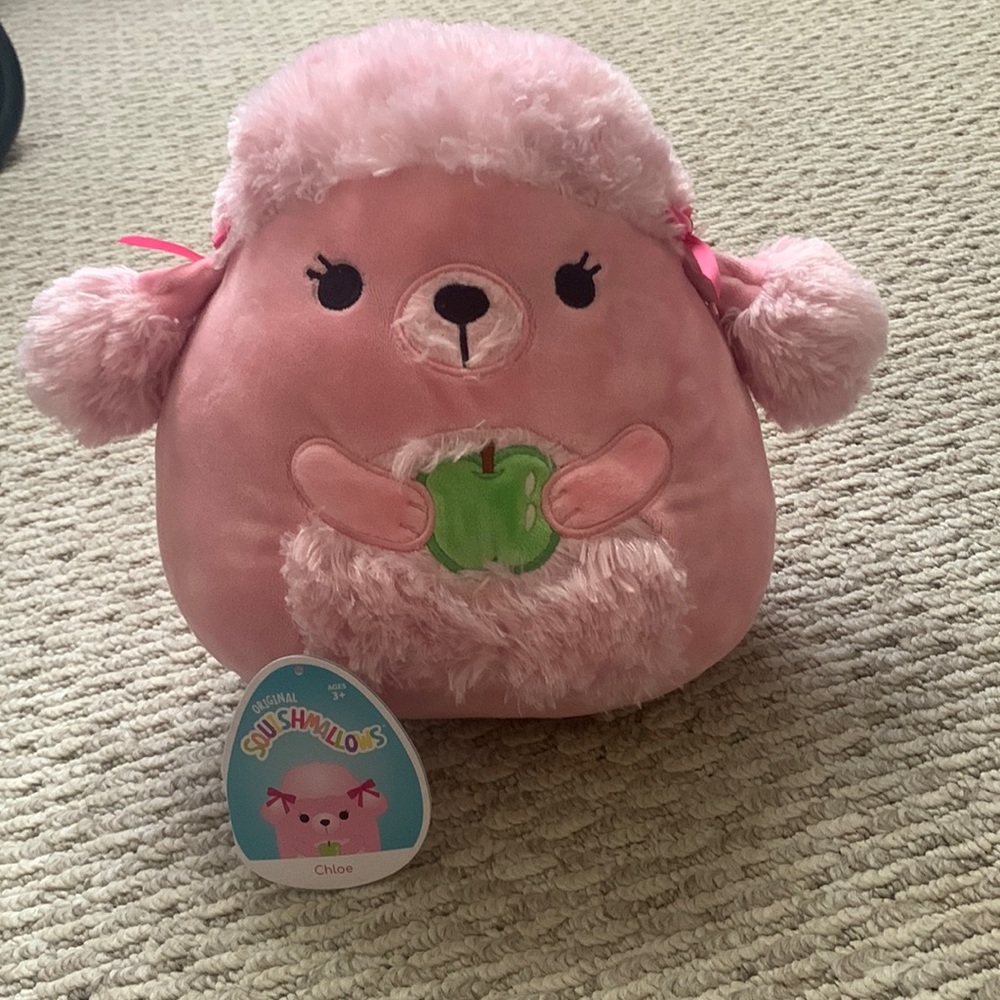 This is Chloe, she is a 8 inch poodle Squishmallow.